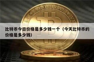 比特币今日价格是多少钱一个（今天比特币的价格是多少钱）