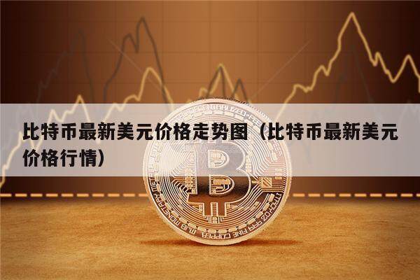 比特币最新美元价格走势图（比特币最新美元价格行情）-第1张图片-欧意下载
