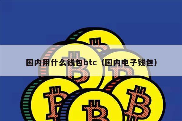国内用什么钱包btc（国内电子钱包）-第1张图片-欧意下载