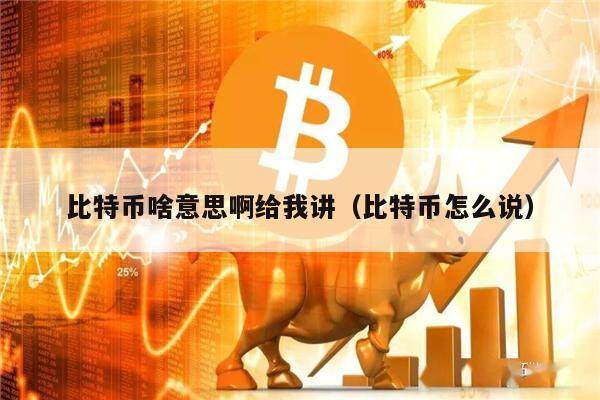 比特币啥意思啊给我讲（比特币怎么说）-第1张图片-欧意下载