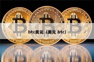 btc美元（美元 btc）