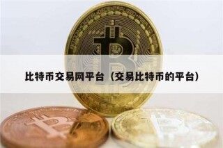 比特币交易网平台（交易比特币的平台）