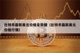 比特币最新美元价格走势图（比特币最新美元价格行情）