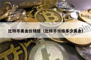 比特币美金价钱格（比特币价格多少美金）