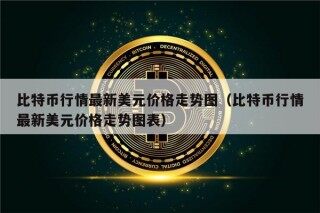 比特币行情最新美元价格走势图（比特币行情最新美元价格走势图表）