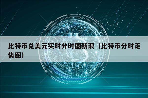 比特币兑美元实时分时图新浪（比特币分时走势图）-第1张图片-欧意下载