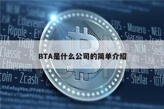 BTA是什么公司的简单介绍