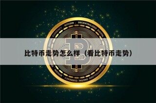 比特币走势怎么样（看比特币走势）