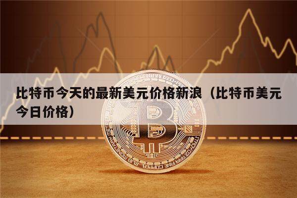 比特币今天的最新美元价格新浪（比特币美元今日价格）-第1张图片-欧意下载