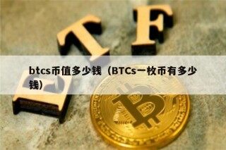 btcs币值多少钱（BTCs一枚币有多少钱）