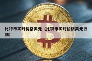 比特币实时价格美元（比特币实时价格美元行情）
