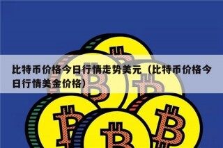 比特币价格今日行情走势美元（比特币价格今日行情美金价格）