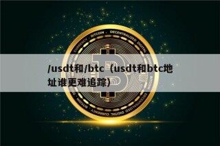 /usdt和/btc（usdt和btc地址谁更难追踪）