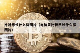 比特币长什么样图片（电脑里比特币长什么样图片）