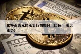 比特币美元的走势行情如何（比特币 美元 走势）
