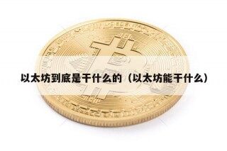 以太坊到底是干什么的（以太坊能干什么）