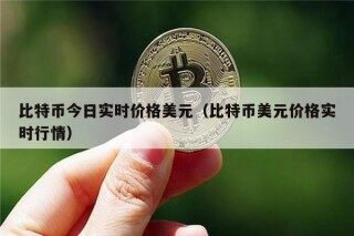比特币今日实时价格美元（比特币美元价格实时行情）