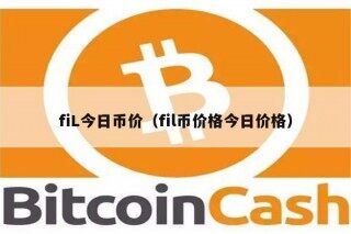 fiL今日币价（fil币价格今日价格）