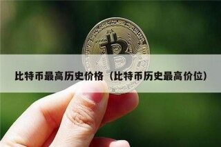 比特币最高历史价格（比特币历史最高价位）
