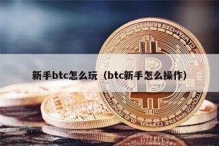 新手btc怎么玩（btc新手怎么操作）