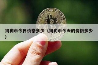 狗狗币今日价格多少（狗狗币今天的价格多少）