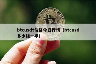 btcusdt价格今日行情（btcusd多少钱一手）