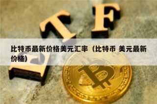 比特币最新价格美元汇率（比特币 美元最新价格）
