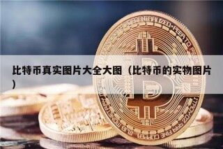 比特币真实图片大全大图（比特币的实物图片）