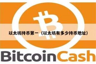 以太坊持币第一（以太坊有多少持币地址）