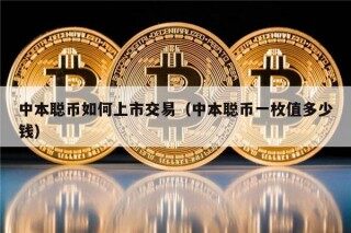 中本聪币如何上市交易（中本聪币一枚值多少钱）