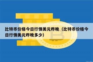 比特币价格今日行情美元昨晚（比特币价格今日行情美元昨晚多少）