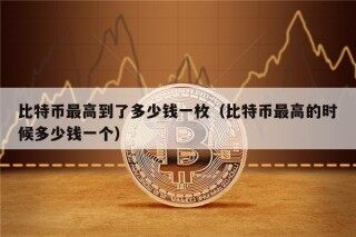 比特币最高到了多少钱一枚（比特币最高的时候多少钱一个）