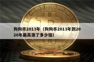 狗狗币2013年（狗狗币2013年到2020年最高涨了多少倍）