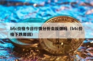 btc价格今日行情分析会反弹吗（btc价格下跌原因）