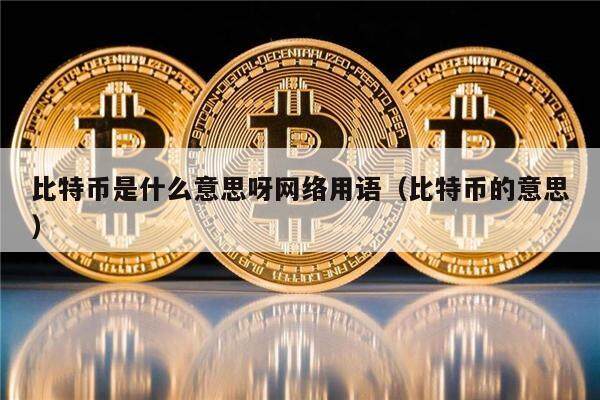 比特币是什么意思呀网络用语（比特币的意思）-第1张图片-欧意下载