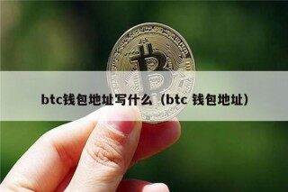 btc钱包地址写什么（btc 钱包地址）