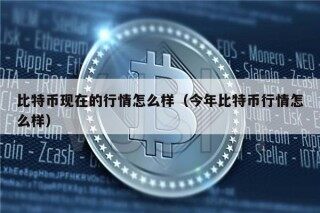 比特币现在的行情怎么样（今年比特币行情怎么样）