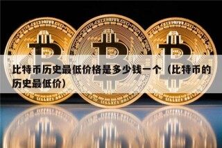 比特币历史最低价格是多少钱一个（比特币的历史最低价）