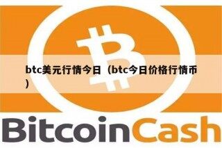 btc美元行情今日（btc今日价格行情币）