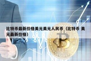 比特币最新价格美元美元人民币（比特币 美元最新价格）