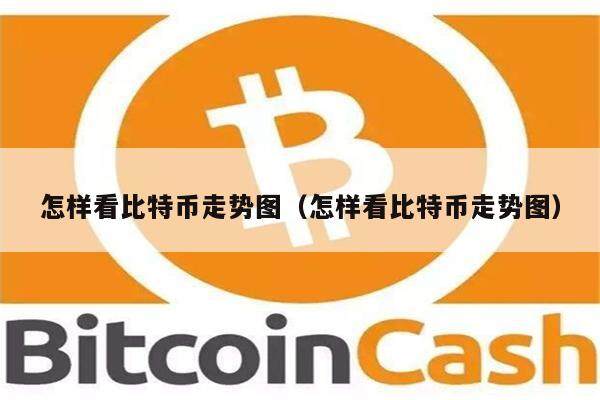 怎样看比特币走势图（怎样看比特币走势图）-第1张图片-欧意下载