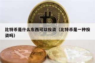 比特币是什么东西可以投资（比特币是一种投资吗）
