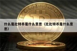 什么是比特币是什么意思（比比特币是什么意思）