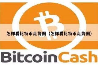 怎样看比特币走势图（怎样看比特币走势图）