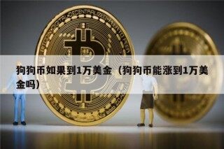 狗狗币如果到1万美金（狗狗币能涨到1万美金吗）