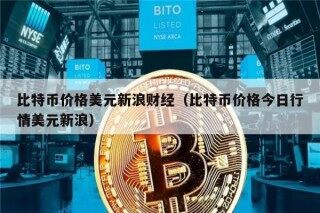 比特币价格美元新浪财经（比特币价格今日行情美元新浪）