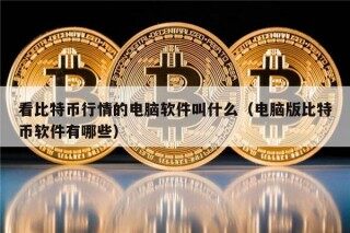 看比特币行情的电脑软件叫什么（电脑版比特币软件有哪些）