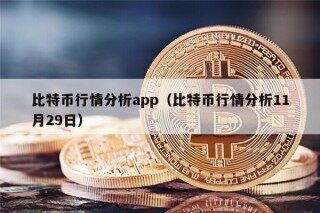 比特币行情分析app（比特币行情分析11月29日）