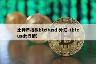 比特币指数btc\/usd-外汇（btcusdt行情）