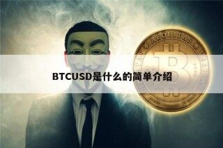 BTCUSD是什么的简单介绍